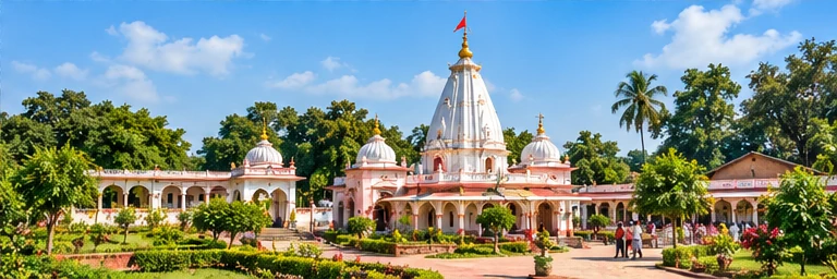 Illustrative artwork for Punaura Dham